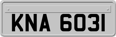 KNA6031