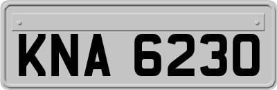 KNA6230