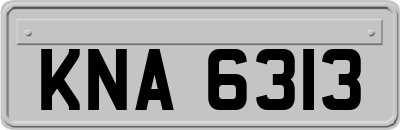 KNA6313