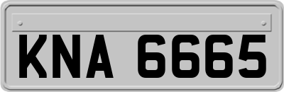 KNA6665