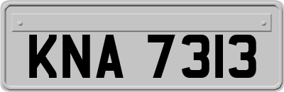 KNA7313