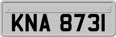 KNA8731