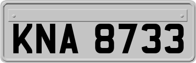 KNA8733