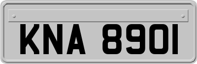 KNA8901