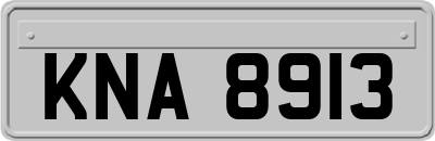 KNA8913