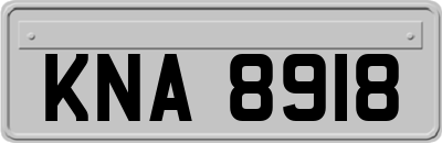 KNA8918