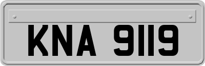 KNA9119