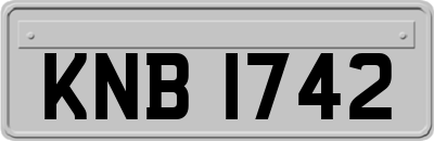 KNB1742