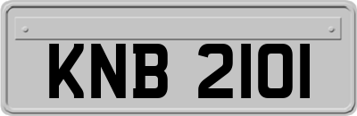 KNB2101