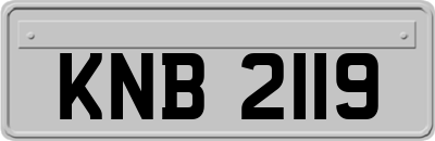 KNB2119