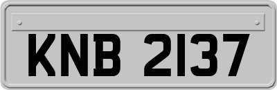 KNB2137