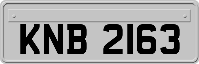 KNB2163