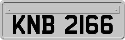 KNB2166