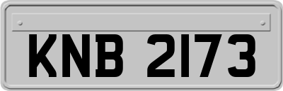 KNB2173