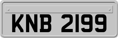 KNB2199