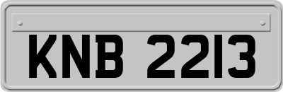 KNB2213