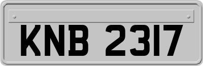 KNB2317