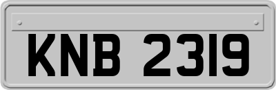 KNB2319