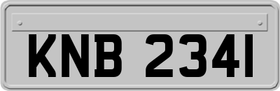 KNB2341