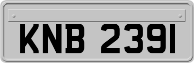 KNB2391