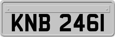 KNB2461