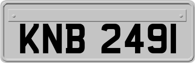 KNB2491