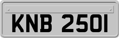 KNB2501