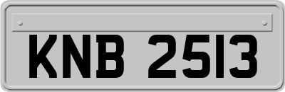 KNB2513