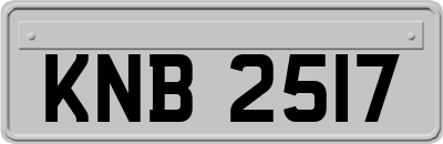 KNB2517