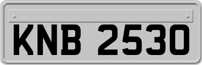 KNB2530