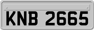 KNB2665