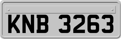 KNB3263