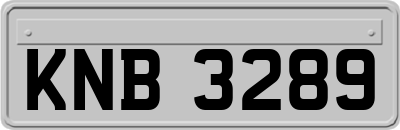 KNB3289