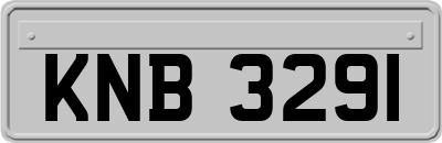 KNB3291