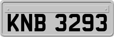 KNB3293