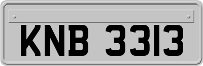 KNB3313