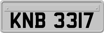 KNB3317