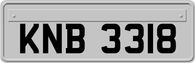 KNB3318