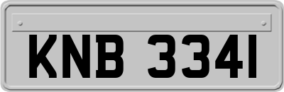 KNB3341