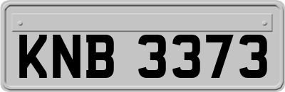 KNB3373