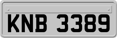 KNB3389