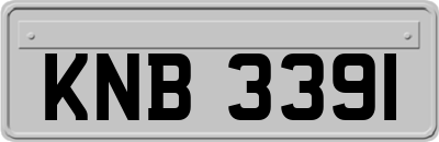 KNB3391