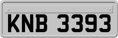 KNB3393