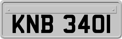 KNB3401