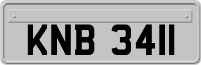 KNB3411