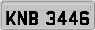 KNB3446