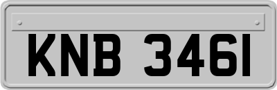 KNB3461