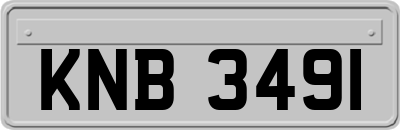 KNB3491