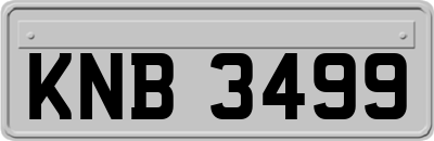 KNB3499