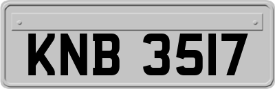 KNB3517